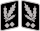 SS-Obergruppenführer Collar Rank.svg