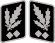 SS-Obergruppenführer Collar Rank.svg