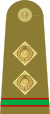 09.Pakistan Army-MCWO.svg