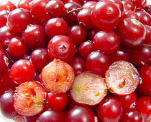 Cranberries.jpg