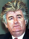 Evstafiev-Radovan Karadzic 3MAR94.jpg