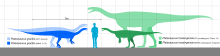 Plateosaurus Scale.svg