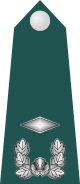 10.SKA-2LT.svg