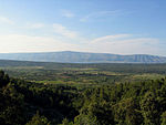 Starigradsko polje hvar.jpg