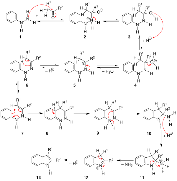 Fischer-Indol-Reaktion 2e.svg