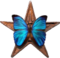 Barnstar-butterfly.png