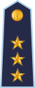 11.LVAF-CPT.svg