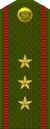 Russia-Army-OR-9b-1994-field.svg