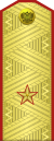 Russia-Army-OF-6-1994-parade.svg