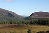 Cairngorms 01.jpg