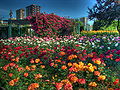 Goztepe Park 06773.jpg