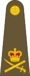 British Army OF-8.svg