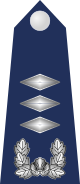 12.SKAF-CPT.svg