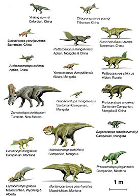 CeratopsiaI BW.jpg