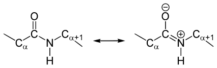 Mesomeric peptide bond.svg