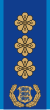 Estonia-Police-Politseikolonel.svg