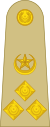 OF-6 Pakistan Army.svg