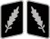 SS-Standartenführer Collar Rank.svg