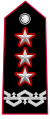 Carabinieri-OF-9b.svg