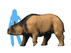 Toxodon NT small.jpg