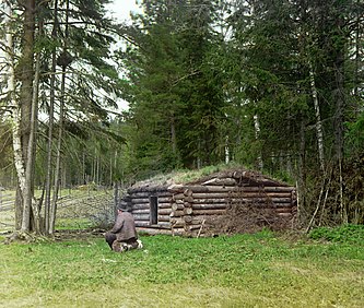 Лесная избушка дровосеков. Подобные постройки сохранили в себе многие черты архаичных жилищ