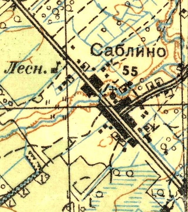 План деревни Саблино. 1931 год