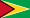 Flag of Guyana.svg