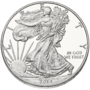 Liberty $1 Obverse.png