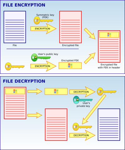 EFS operation scheme.png