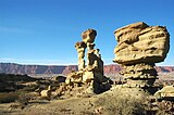 Ischigualasto provincial park.jpg