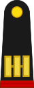 Mexico army OF2b.svg