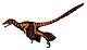 Sinornithosaurus.jpg