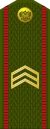 Russia-Army-OR-5-1994-field.svg