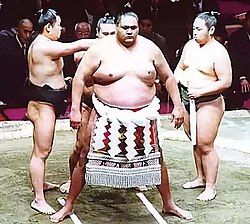 SumoAkebono.jpg