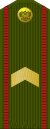 Russia-Army-OR-6-1994-field.svg