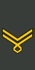 Georgia-Army-OR-9a.svg