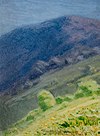 Kuindzhi Mountain Slope.jpg