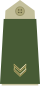 Army-NOR-OR-04.svg