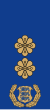 Estonia-Police-Politseikolonelleitnant.svg