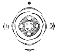 Evonymus europaea flowerdiagram.png