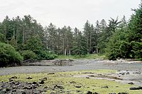 Haida villagesite.jpg