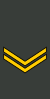 Georgia-Army-OR-5.svg