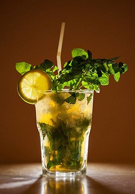 MojitoReydelmojito.jpg