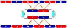 Maglev Propulsion.svg