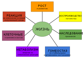 Characteristics of life-ru.svg