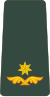 Georgia-Army-OF-3.svg