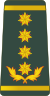 Georgia-Army-OF-9.svg