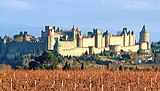 Carcassonne-vignes.jpg