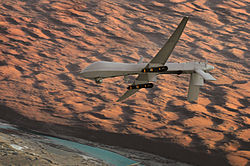 MQ-1 Lethal Presence.jpg