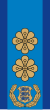 Estonia-Police-Politseikindralinspektor.svg